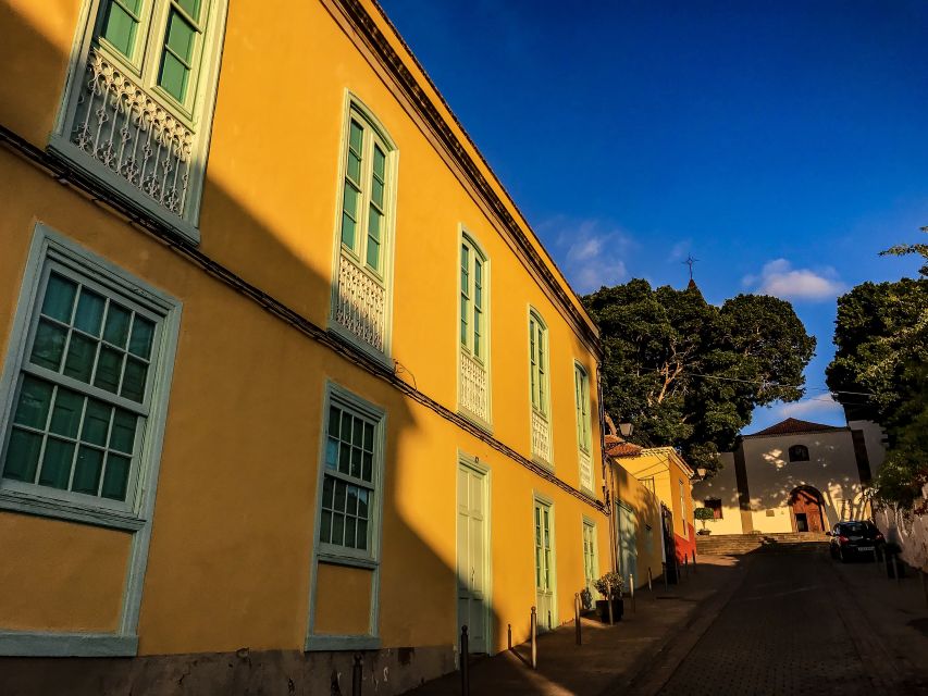 Tenerife Private Tour: Full-Day Volcanic South - El Médano and the volcanic reds near the coast