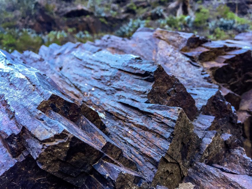 Tenerife Private Tour: Full-Day Volcanic South - Arona panoramas and endemic flora: more than rocks