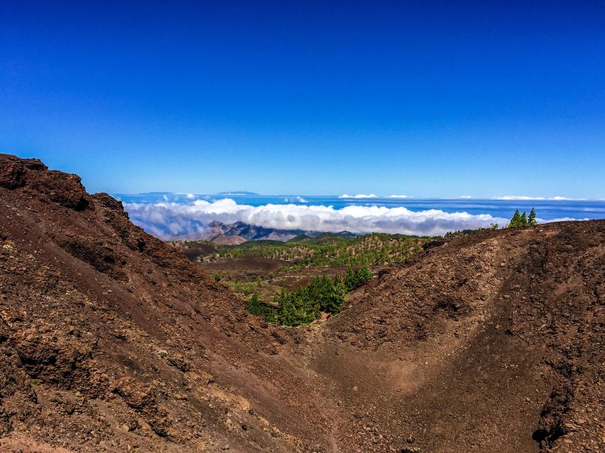 Tenerife Private Tour: Full-Day Volcanic South - Electric Mercedes eQV: comfortable riding for a long day