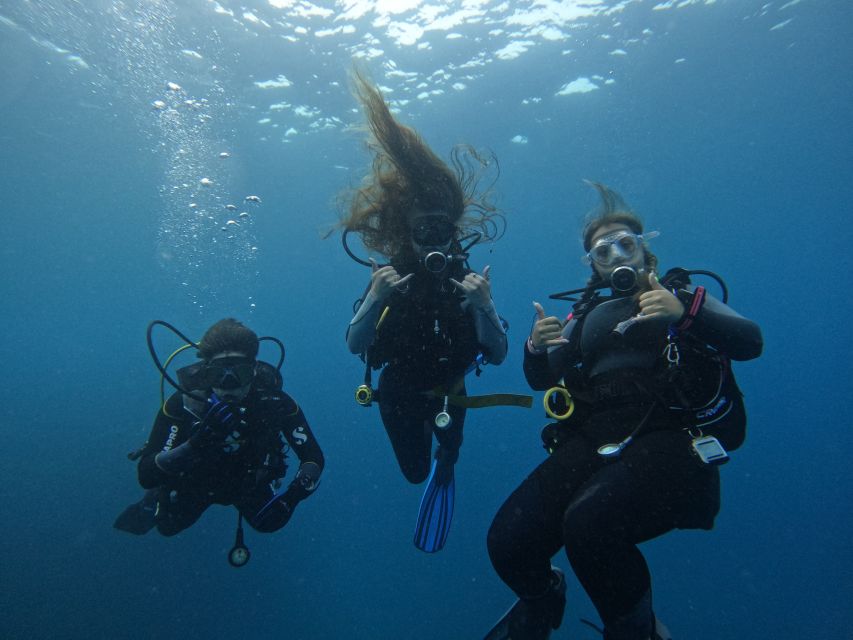 Tenerife: Puerto Colon Certified Scuba Dive by Speed Boat - Finding Zero Gravity Tenerife at Puerto Colón