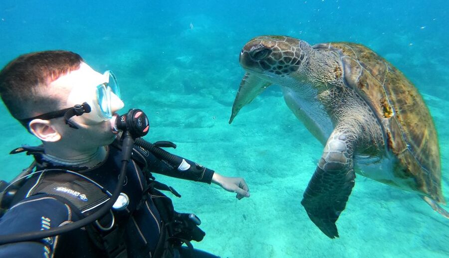 Tenerife: Puerto Colon Discover Scuba Diving Trip - Quick hits you will care about in Puerto Colón