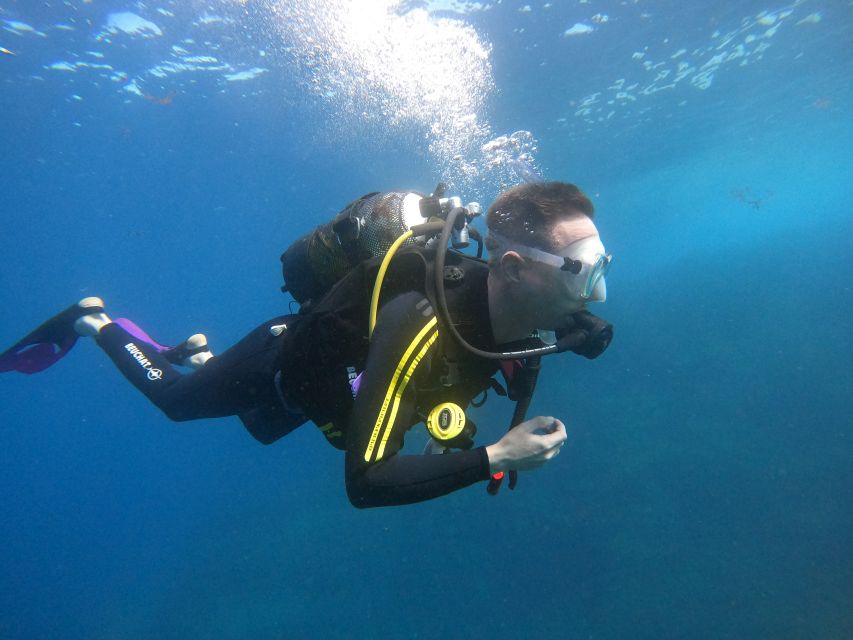 Tenerife: Puerto Colon Discover Scuba Diving Trip - Your 40-minute underwater session at about 12 meters, with real supervision