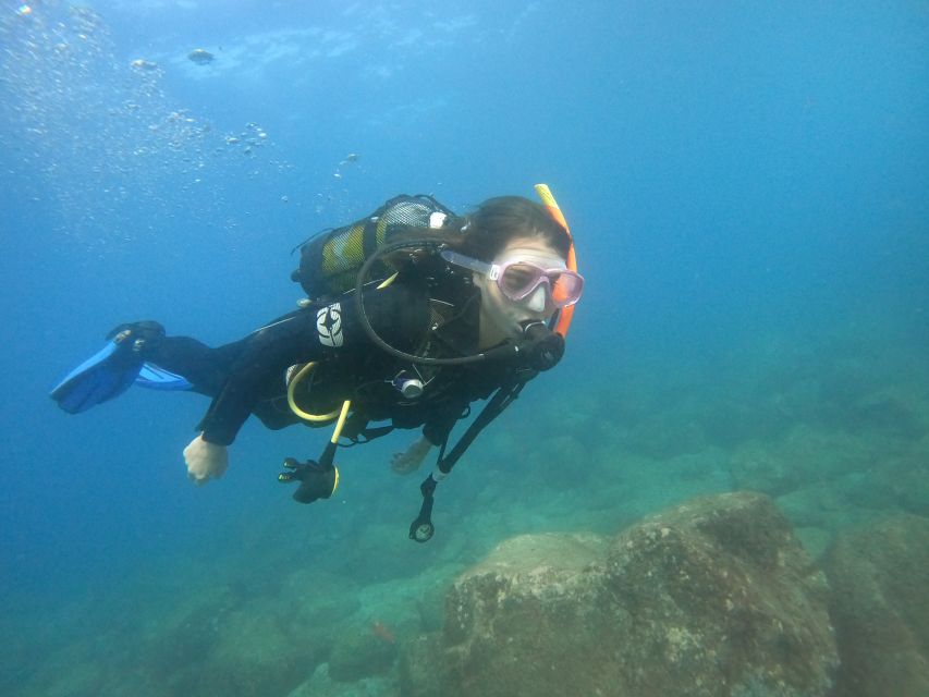 Tenerife: Puerto Colon Discover Scuba Diving Trip - PADI DSD certificate: what you can do next