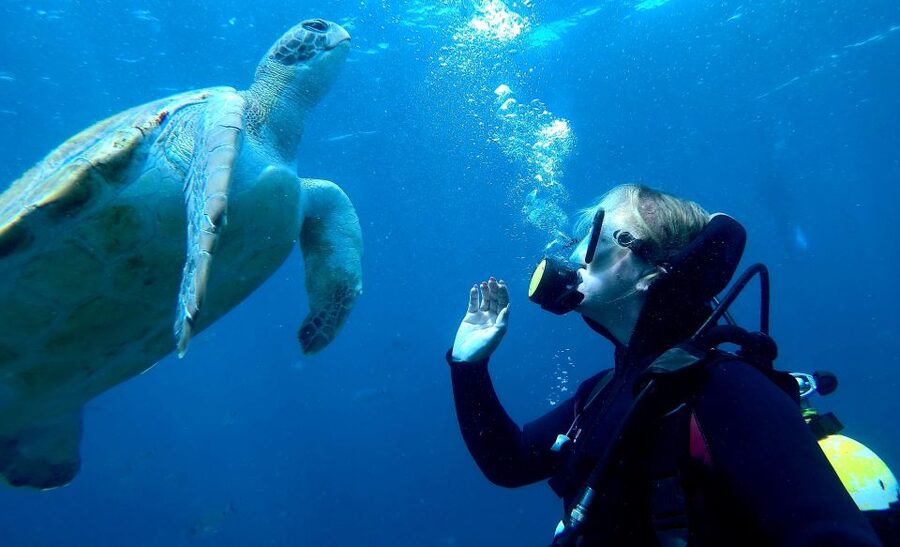 Tenerife: Puerto Colon Discover Scuba Diving Trip - Price and value: is $113 a good deal for Tenerife?