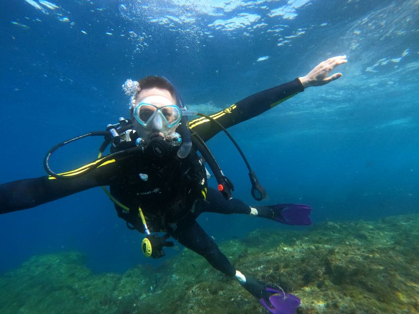 Tenerife: Puerto Colon Discover Scuba Diving Trip - Should you book this Tenerife Puerto Colón PADI DSD trip?