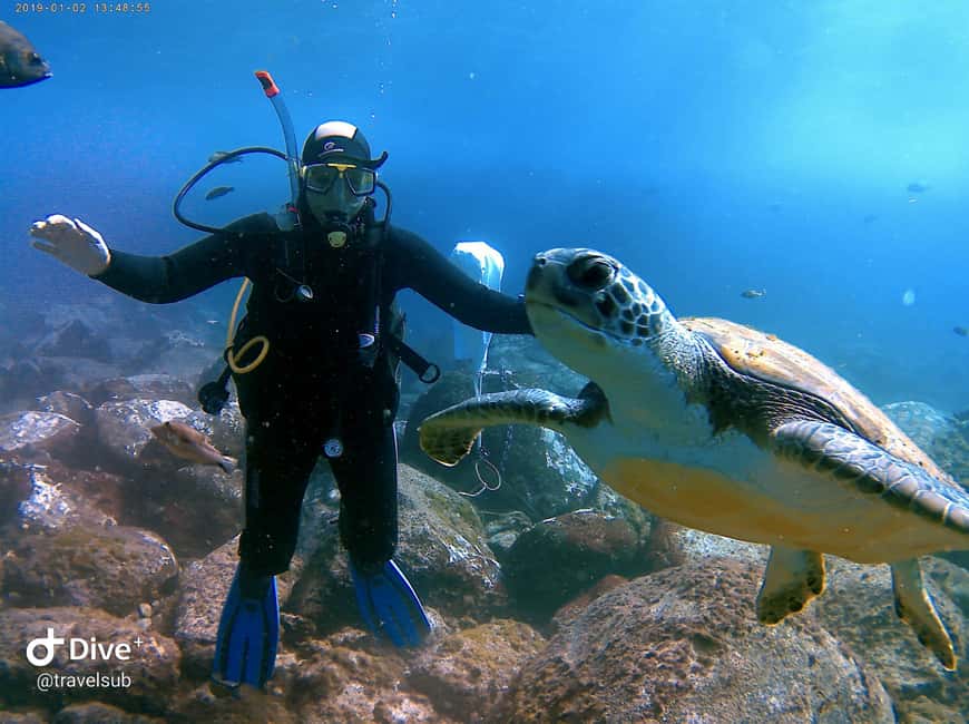 Tenerife: Puerto Colon Discover Scuba Diving Trip - Finding Travel Sub center at Escuel a Náutica, in front of pier 5