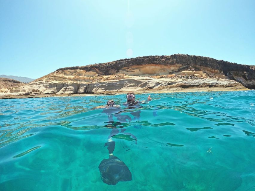 Tenerife: Puerto Colon Snorkel Safari by Speed Boat - Where You Meet in Puerto Colón: Zero Gravity Tenerife by Dock 3