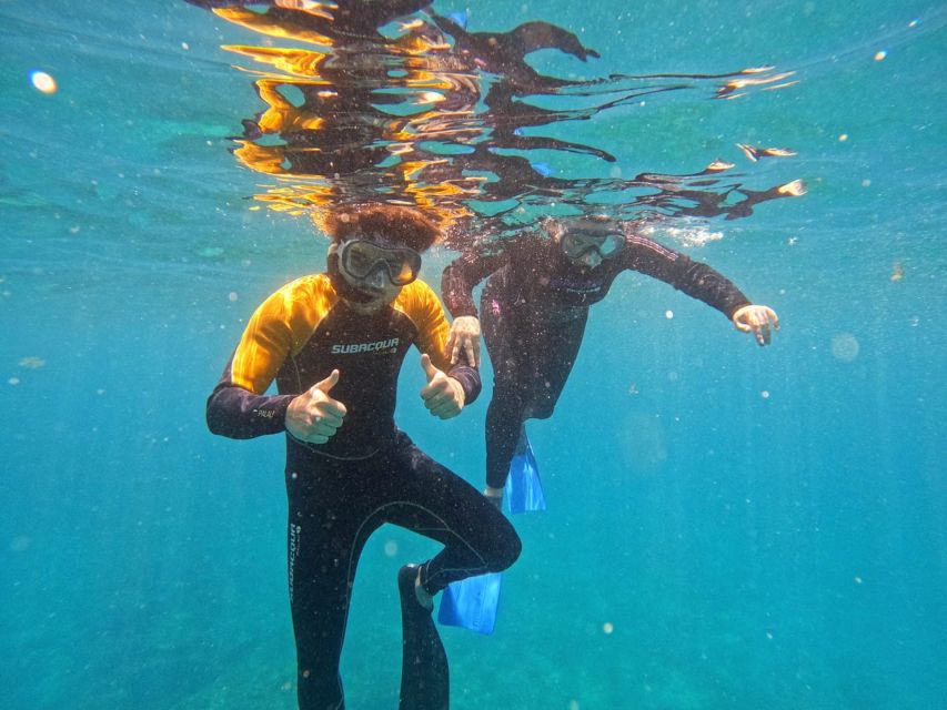 Tenerife: Puerto Colon Snorkel Safari by Speed Boat - Speedboat Ride: A Fast Trip to the Secluded Bay