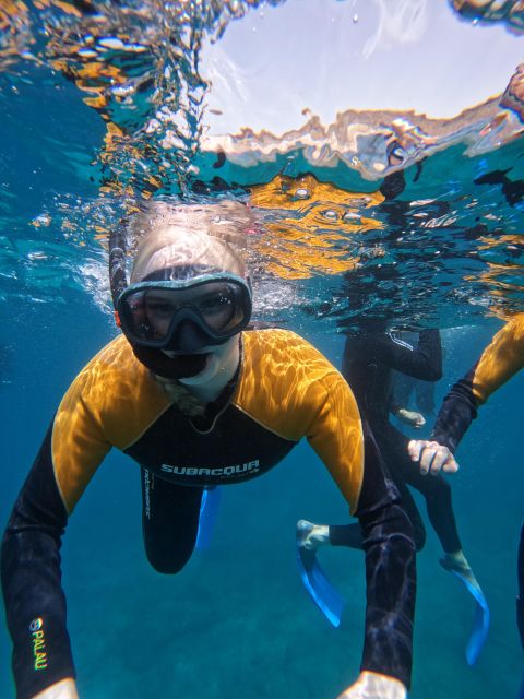 Tenerife: Puerto Colon Snorkel Safari by Speed Boat - Gear and Comfort: Wetsuit, Fins, Mask, and Lifejackets If Needed