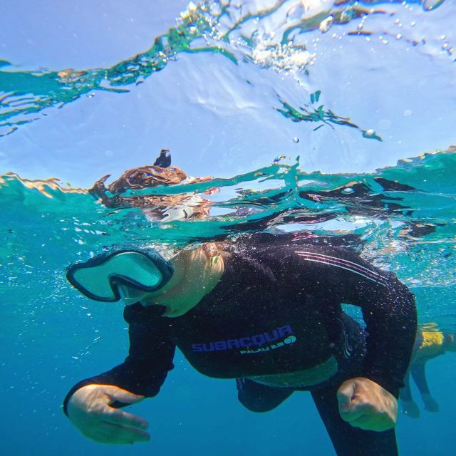 Tenerife: Puerto Colon Snorkel Safari by Speed Boat - Photos and Videos: Useful, Optional, and Not Built Into the Price