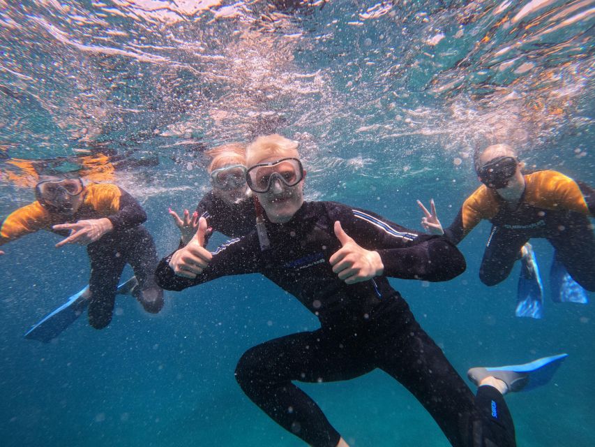 Tenerife: Puerto Colon Snorkel Safari by Speed Boat - The 30-Minute Safety Briefing That Sets the Tone