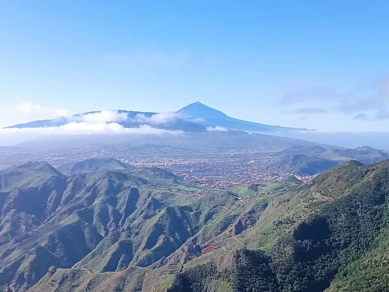 Tenerife-Puerto Cruz: Avatar Hiking, Punta Hidalgo +Cocktail - From Mamio Verde to San Cristobal market, starting with local flavor