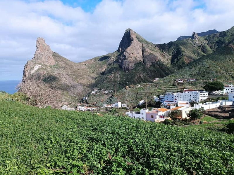Tenerife-Puerto Cruz: Avatar Hiking, Punta Hidalgo +Cocktail - Mirador de Jardina viewpoints, quick photos with big payoff