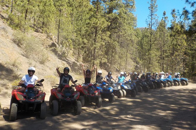 Tenerife: Quad Adventure Teide Tour - Price and Value: Why About $96.79 Makes Sense Here
