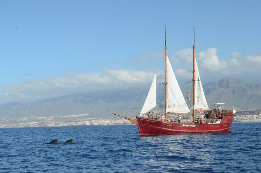 Tenerife:Respectful Whale Watching, Pirate Ship, & Swim - How the 2-hour sail actually fits with pickup and return