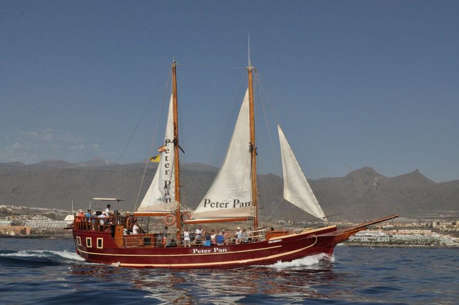 Tenerife:Respectful Whale Watching, Pirate Ship, & Swim - Value check: why the $17 price can make sense here