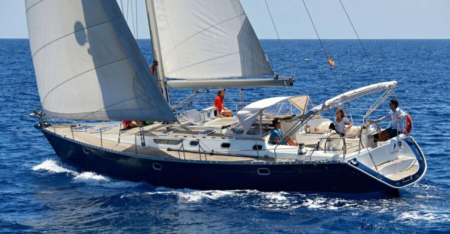 Tenerife: Sailing Excursion with Whale and Dolphin Watching - Leaving Puerto Colón: The Yacht Experience Starts Immediately