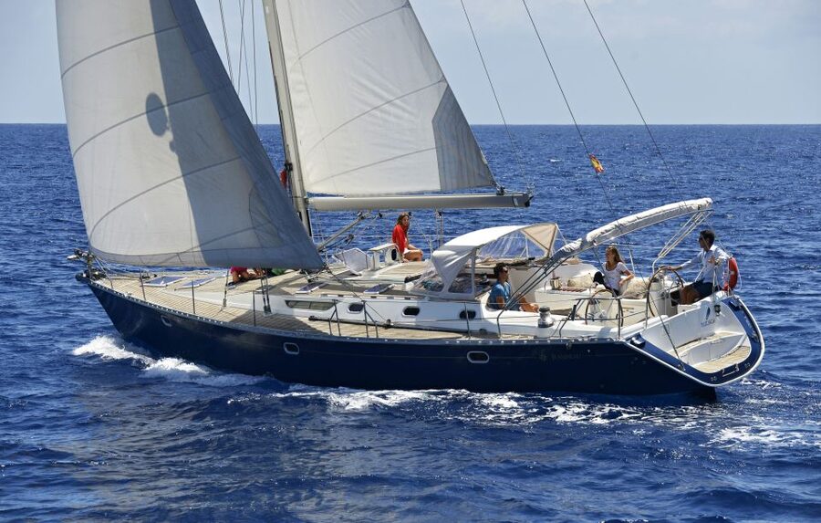 Tenerife: Sailing Excursion with Whale and Dolphin Watching - The Sail Along Tenerife’s South Coast: Views, Sea Notes, and Pace