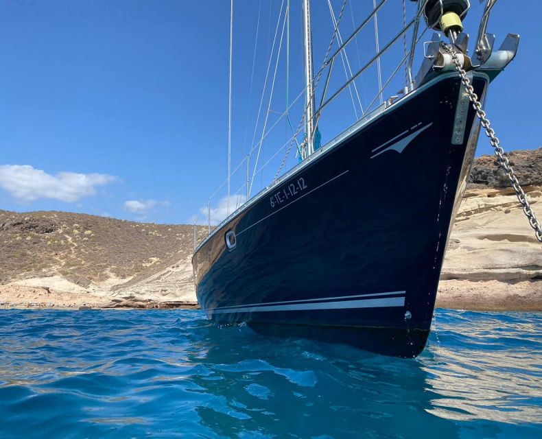 Tenerife: Sailing Excursion with Whale and Dolphin Watching - Who This Trip Is Best For