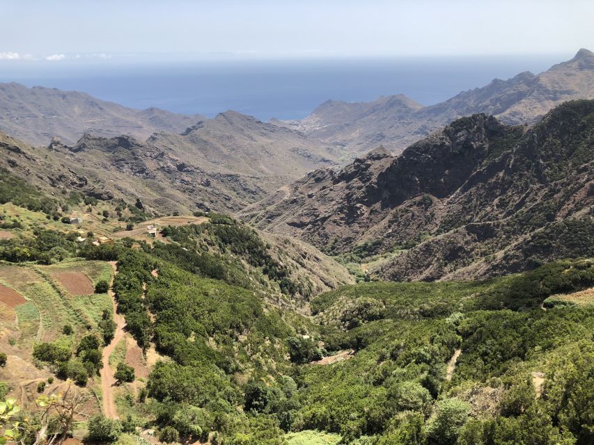 Tenerife: Santa Cruz, La Laguna and Anaga Tour - Lunch time in La Laguna, how to make the most of it when it’s not included