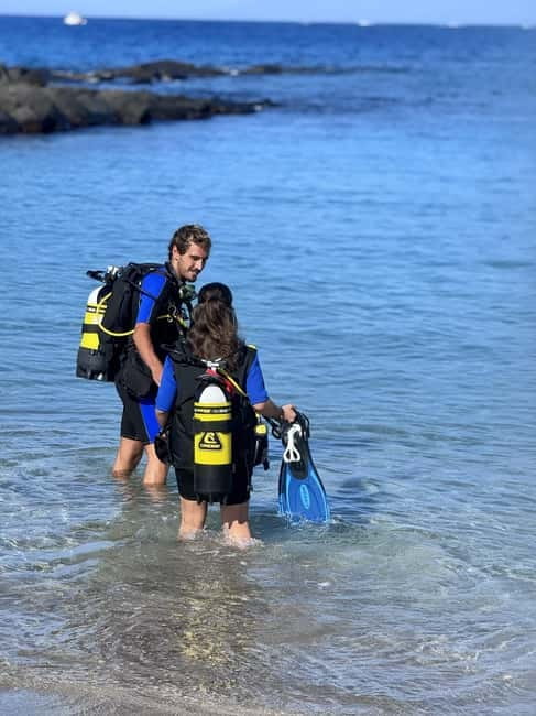 Tenerife: Scuba Dive & Fun, Discover the Magic of the Ocean - Price and value: what $106 really covers in Tenerife