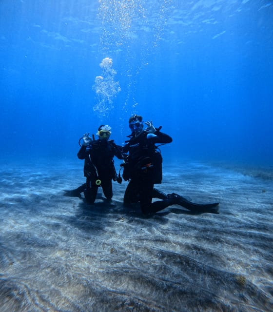 Tenerife: Scuba Diving Experience for Every Level - Equipment Included: Less Shopping, More Time Underwater