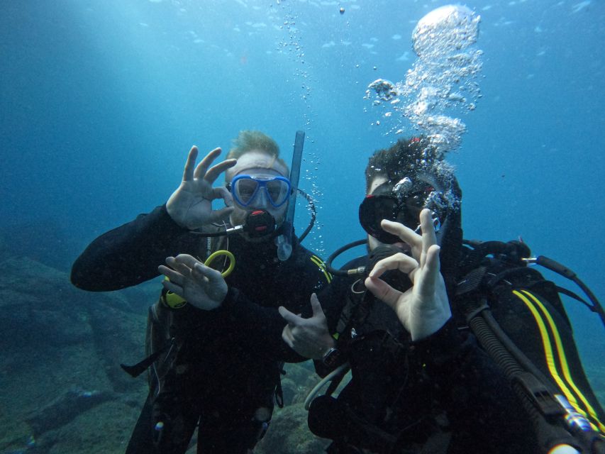 Tenerife: Scuba Diving for Certified Divers in Tenerife - Key things to know before you book