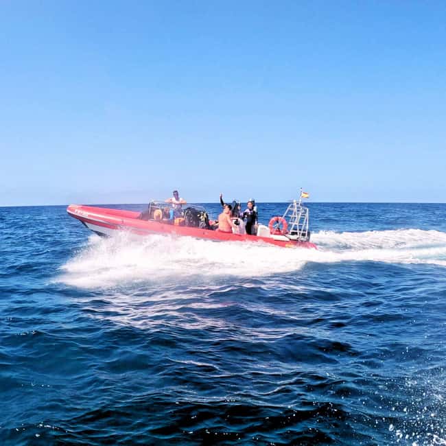 Tenerife: Scuba Diving for Certified Divers in Tenerife - What to bring, and how to avoid wasting time