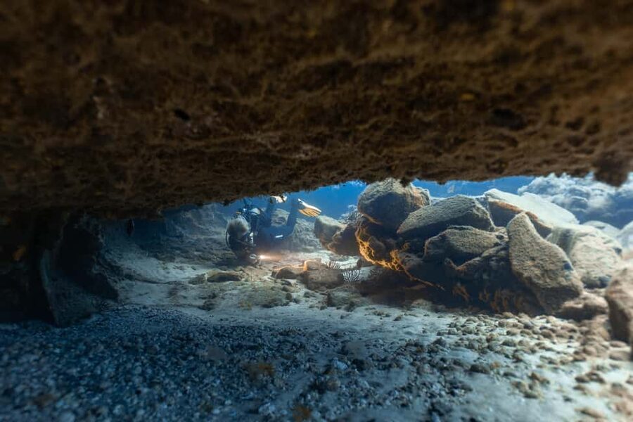 Tenerife: Scuba Diving for Certified Divers in Tenerife - Night dive options for Atlantic giants after sunset