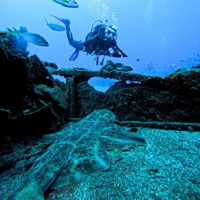 Tenerife: Scuba Diving for Certified Divers in Tenerife - Included gear and what that saves you