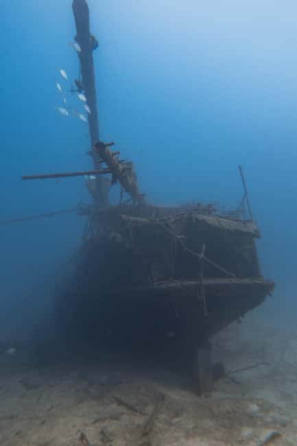 Tenerife: Scuba Diving for Certified Divers in Tenerife - Staff vibe and the kind of details that make it better