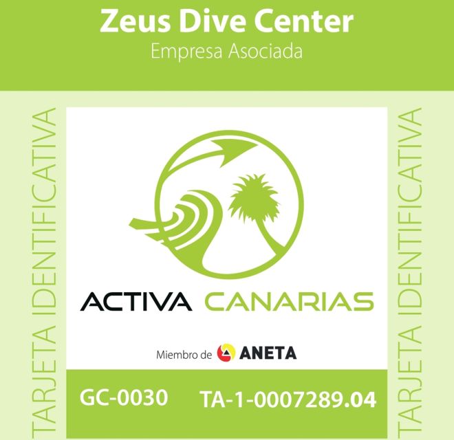 Tenerife Scuba Diving for Certified Divers - Your 6-hour schedule, from briefing to second tank time