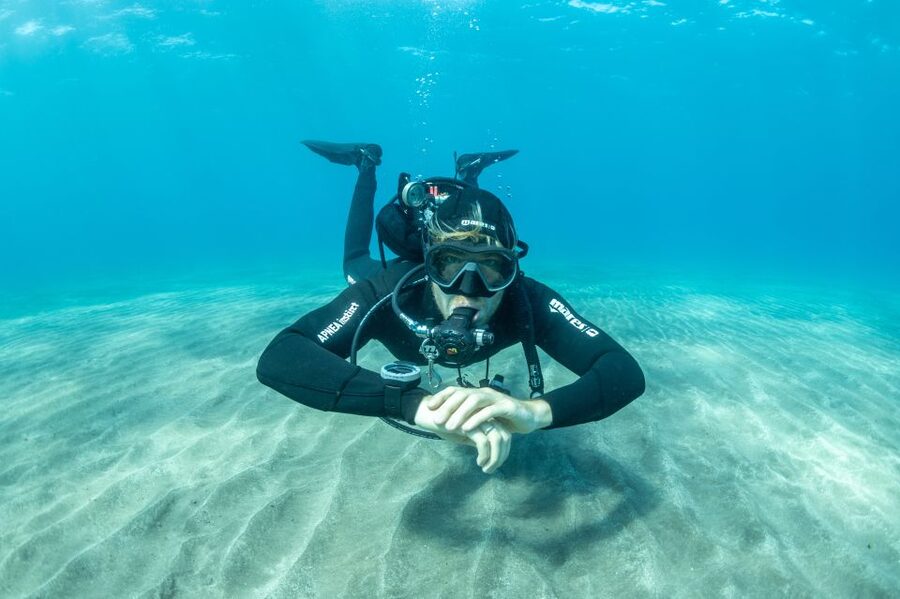 Tenerife: Scuba Diving Lesson and Abades Protected Area Dive - Marine life spotting in Abades, with realistic expectations
