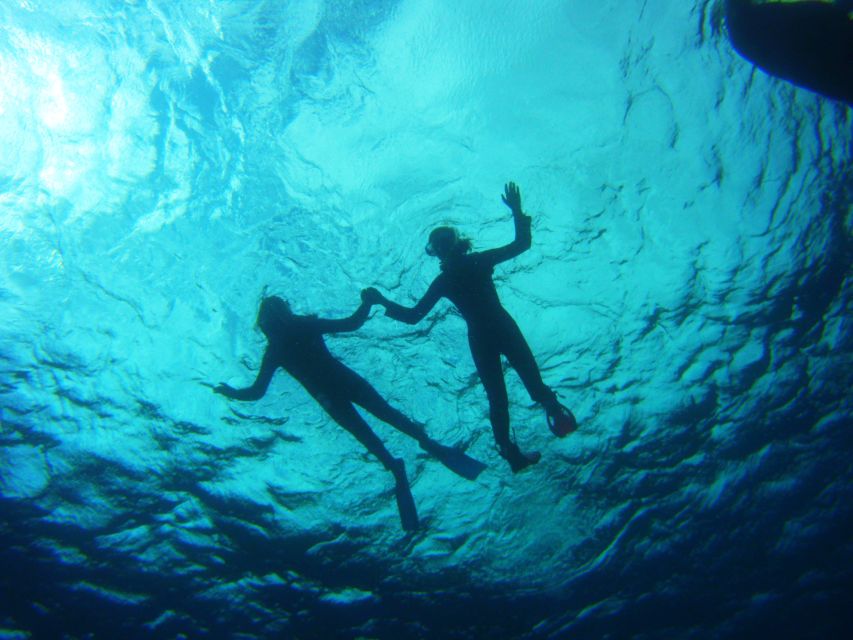 Tenerife: Snorkel with Turtles - Making turtle sightings more likely (without chasing)