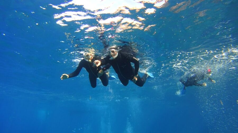 Tenerife: Snorkel with Turtles - Should you book Tenerife Snorkel with Turtles?