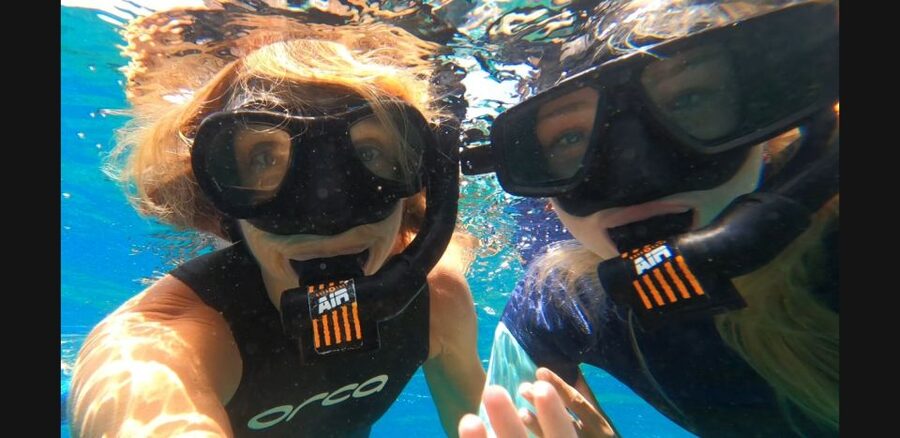 Tenerife: Snorkeling Tour in a Marine Protected Area - Key things you will notice on this snorkeling tour