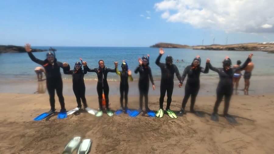 Tenerife: Snorkeling Tour in a Marine Protected Area - Practical tips so your snorkeling feels easy