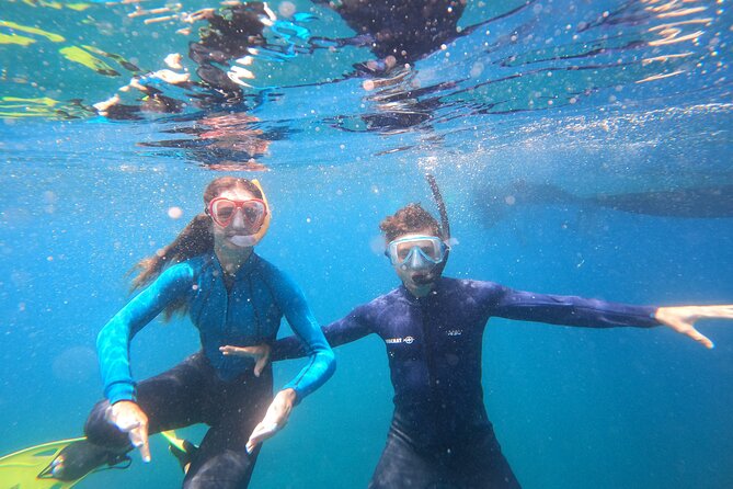 Tenerife Snorkeling Tour in turtle habitat - Price and Value: Is $54.07 a Good Deal in Tenerife?