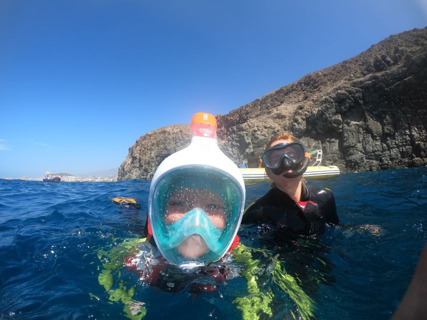 Tenerife: Snorkeling Trip in a Turtle Habitat - Speedboat transfer along Tenerife’s south coast, 15 minutes each way