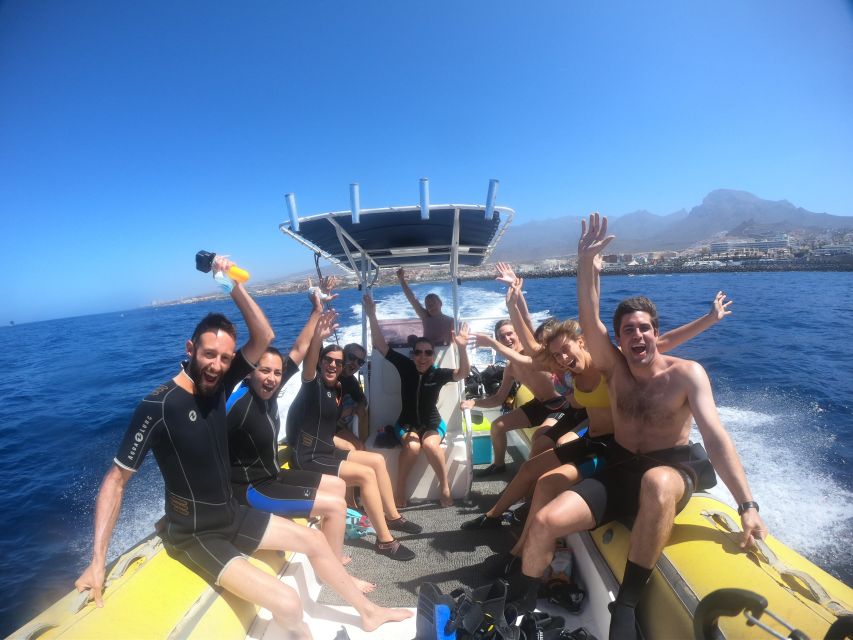 Tenerife: Snorkeling Trip in a Turtle Habitat - If you do not want to snorkel, you can still enjoy the ocean views
