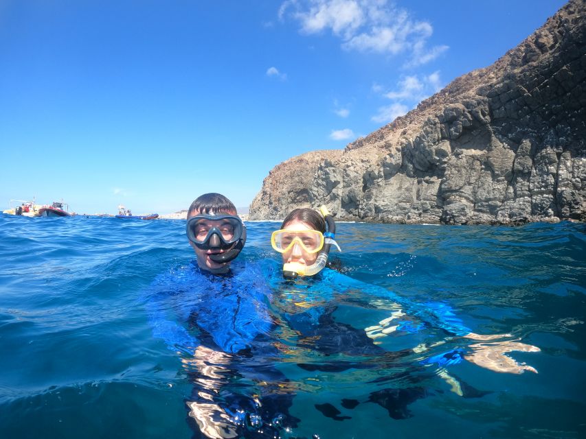 Tenerife: Snorkeling Trip in a Turtle Habitat - Price and value: is $41 a fair deal?