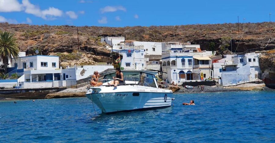 Tenerife: South Island Boat-Trip and Sea Excursion - The Guide Experience: Communication That Improves Sightings