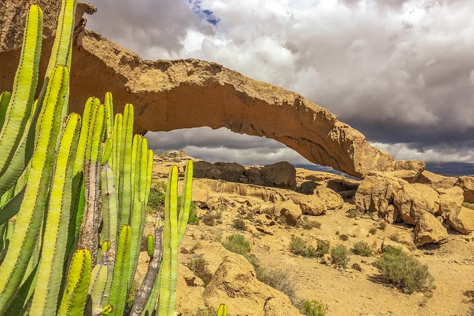 Tenerife South Private Tour: Secrets of the Volcanoes - Getting Around in a 100 Percent Electric Mercedes EQV