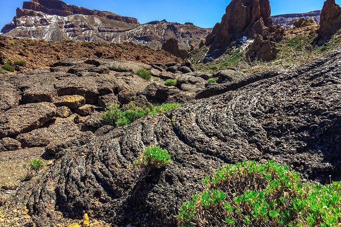 Tenerife South Private Tour: Secrets of the Volcanoes - The High-Village Shift at Vilaflor, Ash Terraces and Water Use