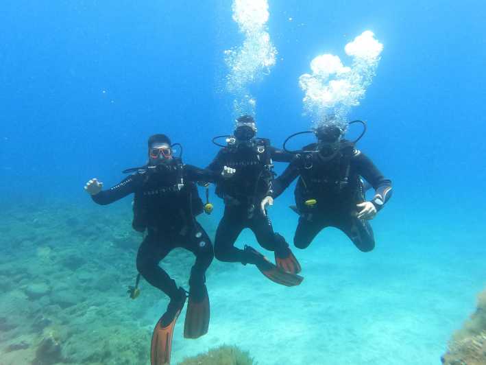 Tenerife south: Scuba Dive for beginners in Adeje - Key Highlights Worth Your Attention