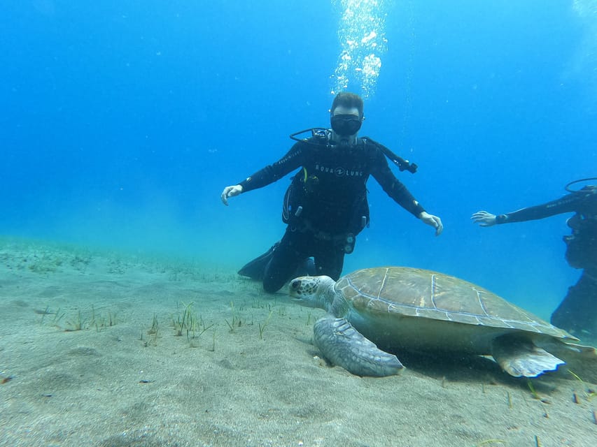 Tenerife south: Scuba Dive for beginners in Adeje - Where Adeje Fits Into a Great First Scuba Morning