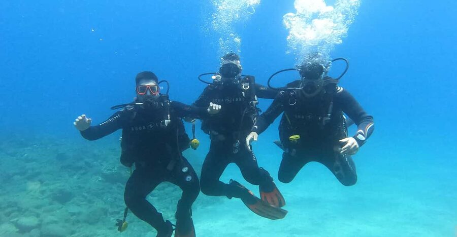 Tenerife south: Scuba Dive for beginners in Adeje - Theory That Actually Prepares You for the Water