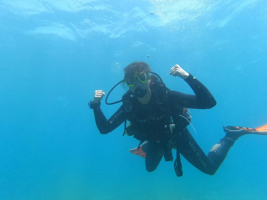 Tenerife south: Scuba Dive for beginners in Adeje - Transport to the Underwater Site, Then Back by 12:30