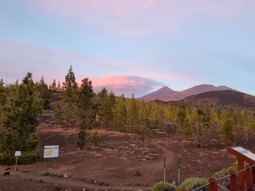 Tenerife: Sunset and Stargazing at Teide National Park - After dark plans: moving when wind or clouds mess with the schedule