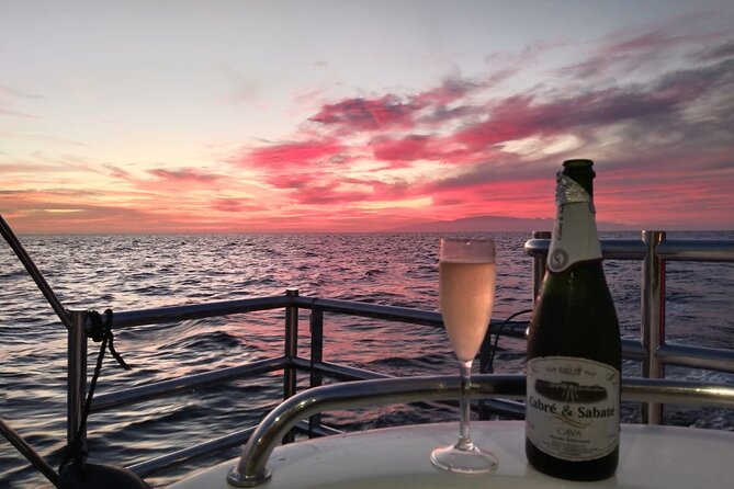 Tenerife Sunset Catamaran tour with transfer - Food and Drinks included. - The Water Plan: How Whales, Dolphins, Turtles, and Flying Fish Fit the Evening